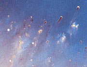 Helix Nebula: Detail Image 1