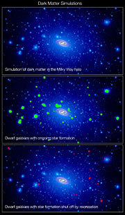 A swarm of dark matter around the Milky Way