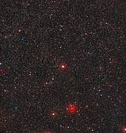 Wide-field image of RS Puppis (ground-based image)