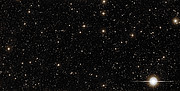 Palomar’s view on iPTF16geu