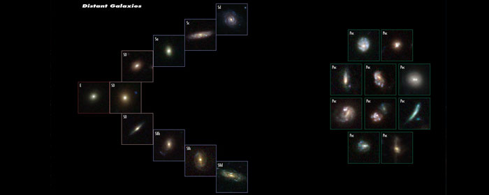 The evolution of the Hubble sequence