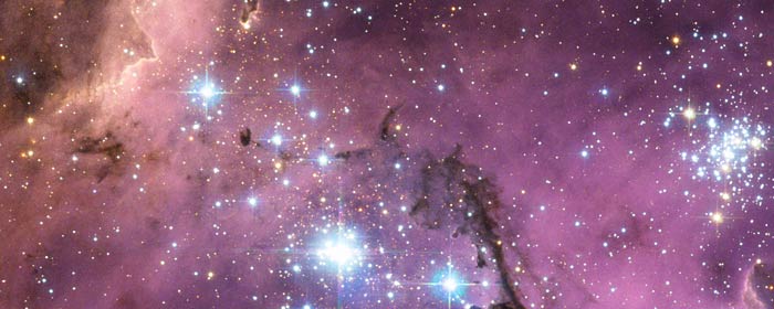 LHA 120-N11 in the Large Magellanic Cloud