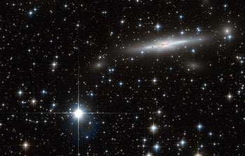 A busy patch of the Great Attractor