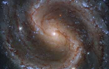 Colours of the Lost Galaxy