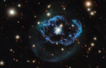 A Flash of Life