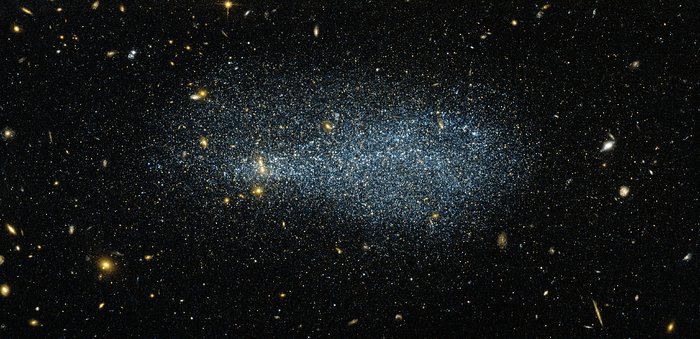 A flock of stars