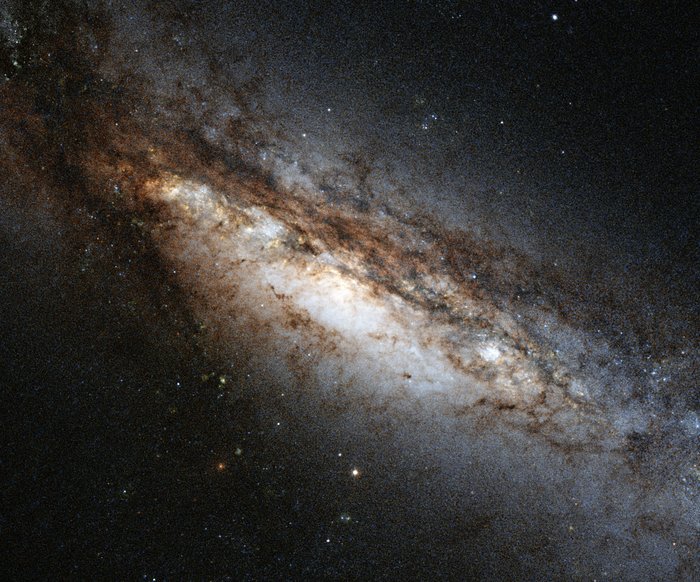 A bizarre cosmic rarity: NGC 660