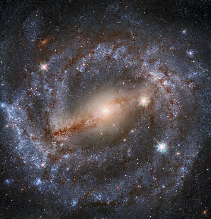 Spirals Are In This Season