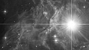 Light echoes around RS Puppis
